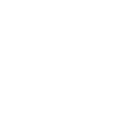 Triple D Ghost logo